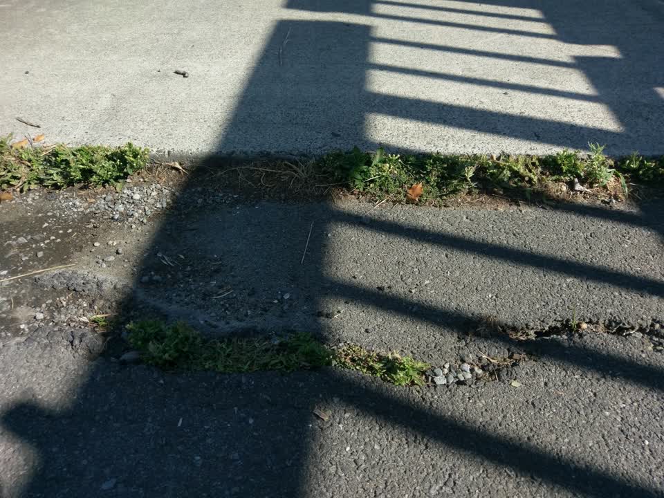 The photograph attached to this roading/streets report