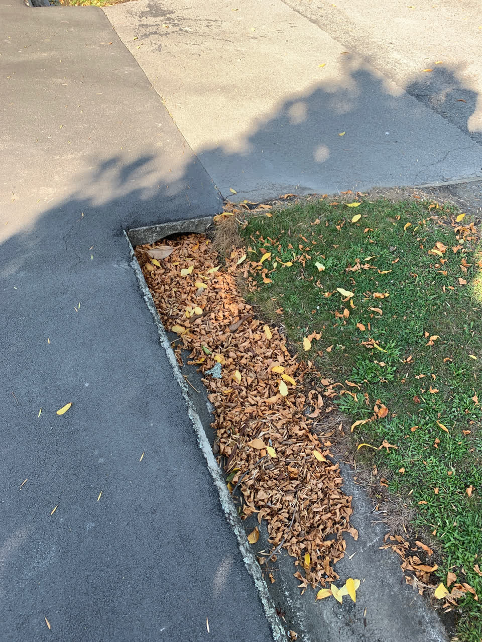 The photograph attached to this wastewater/stormwater report