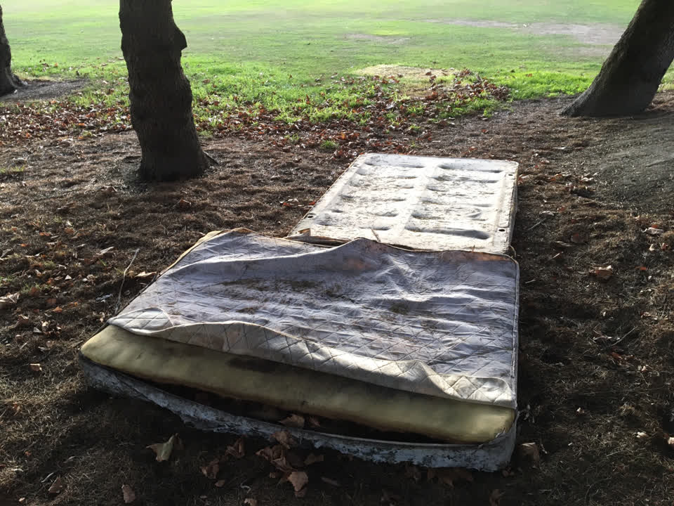 The photograph attached to this parks report