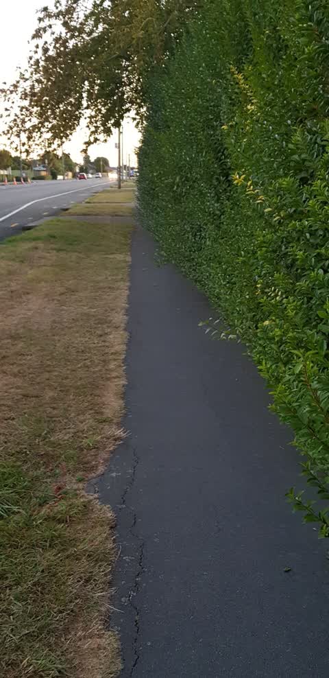 Roading/Streets, a report photo
