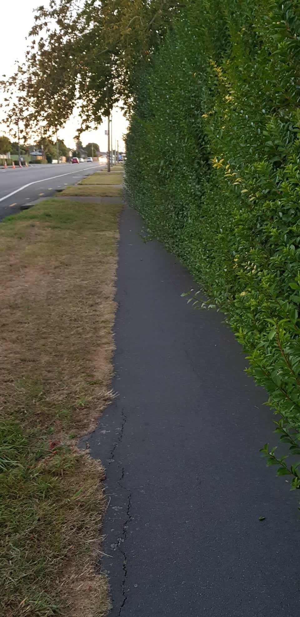 The photograph attached to this roading/streets report