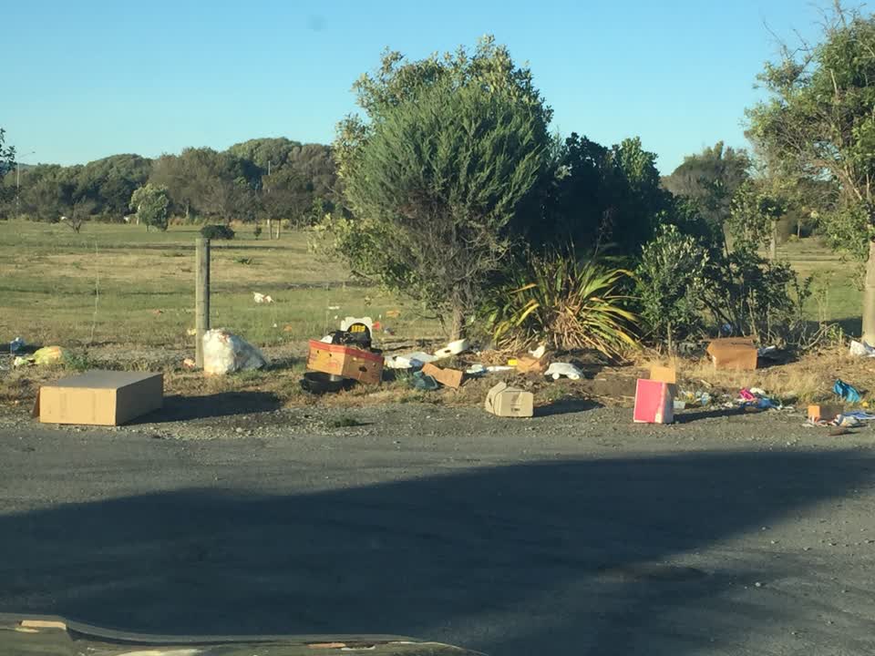 The photograph attached to this rubbish/recycling report
