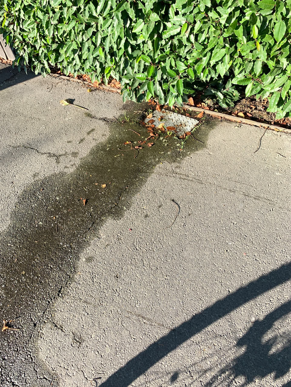 The photograph attached to this water supply report