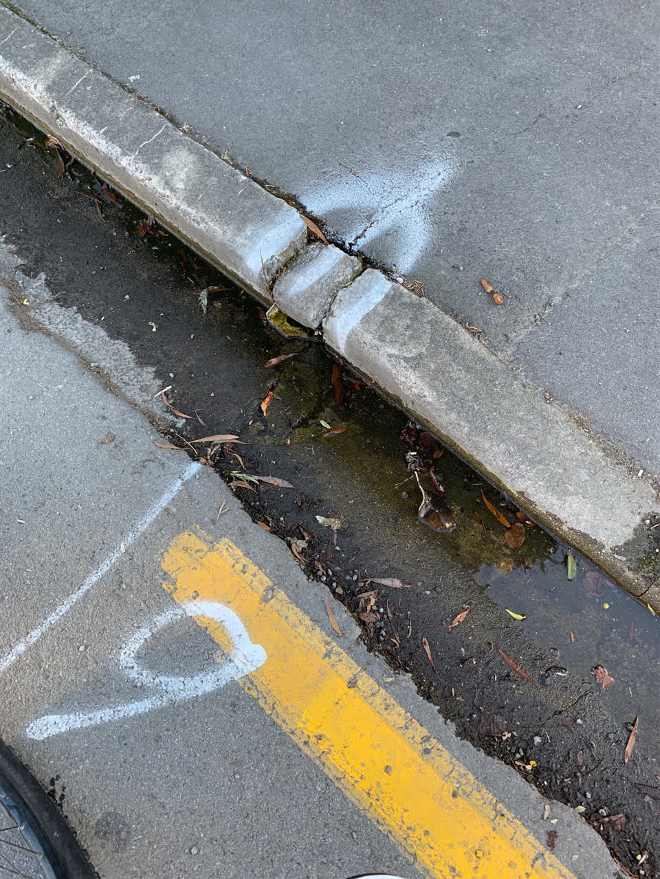 The photograph attached to this water supply report
