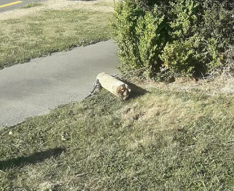 Parks — a report photo