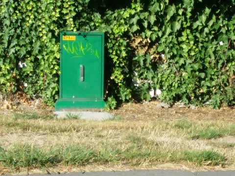 Graffiti — a report photo
