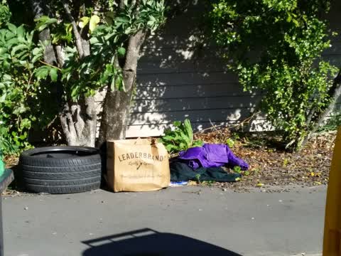 Rubbish/Recycling, a report photo