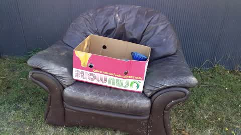 Rubbish/Recycling, a report photo
