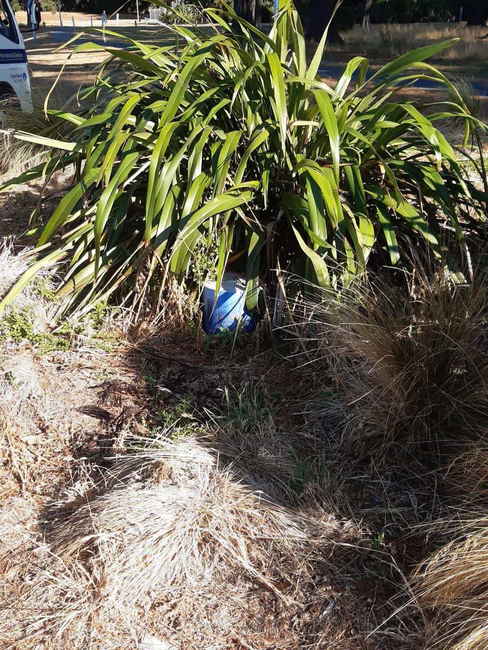 The photograph attached to this parks report