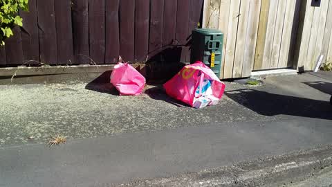 Rubbish/Recycling, a report photo