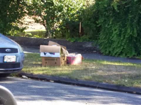 Rubbish/Recycling, a report photo