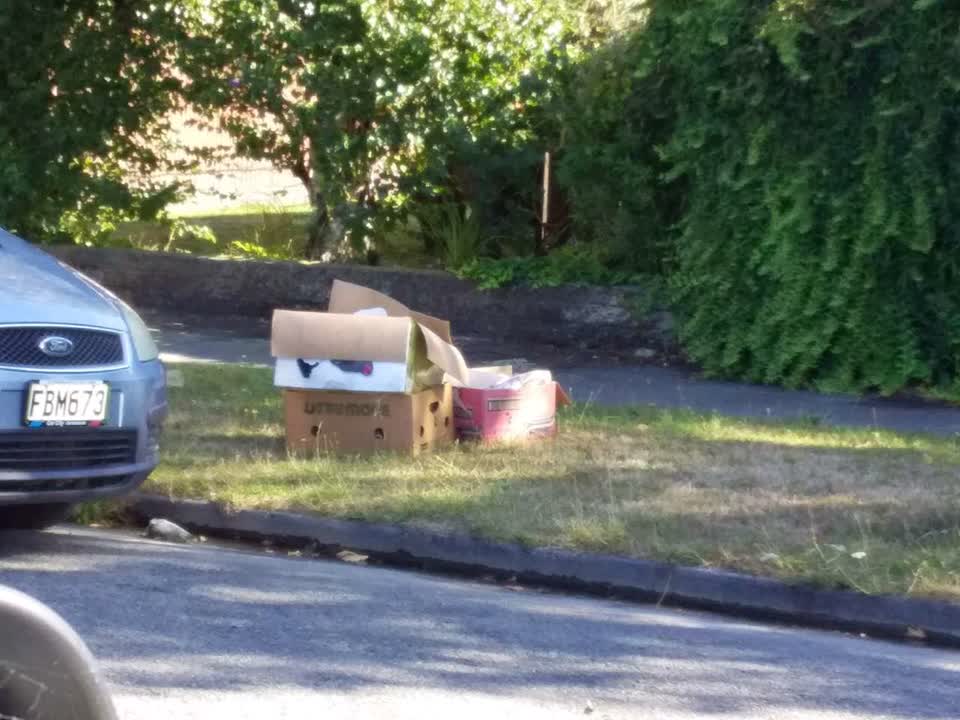 The photograph attached to this rubbish/recycling report