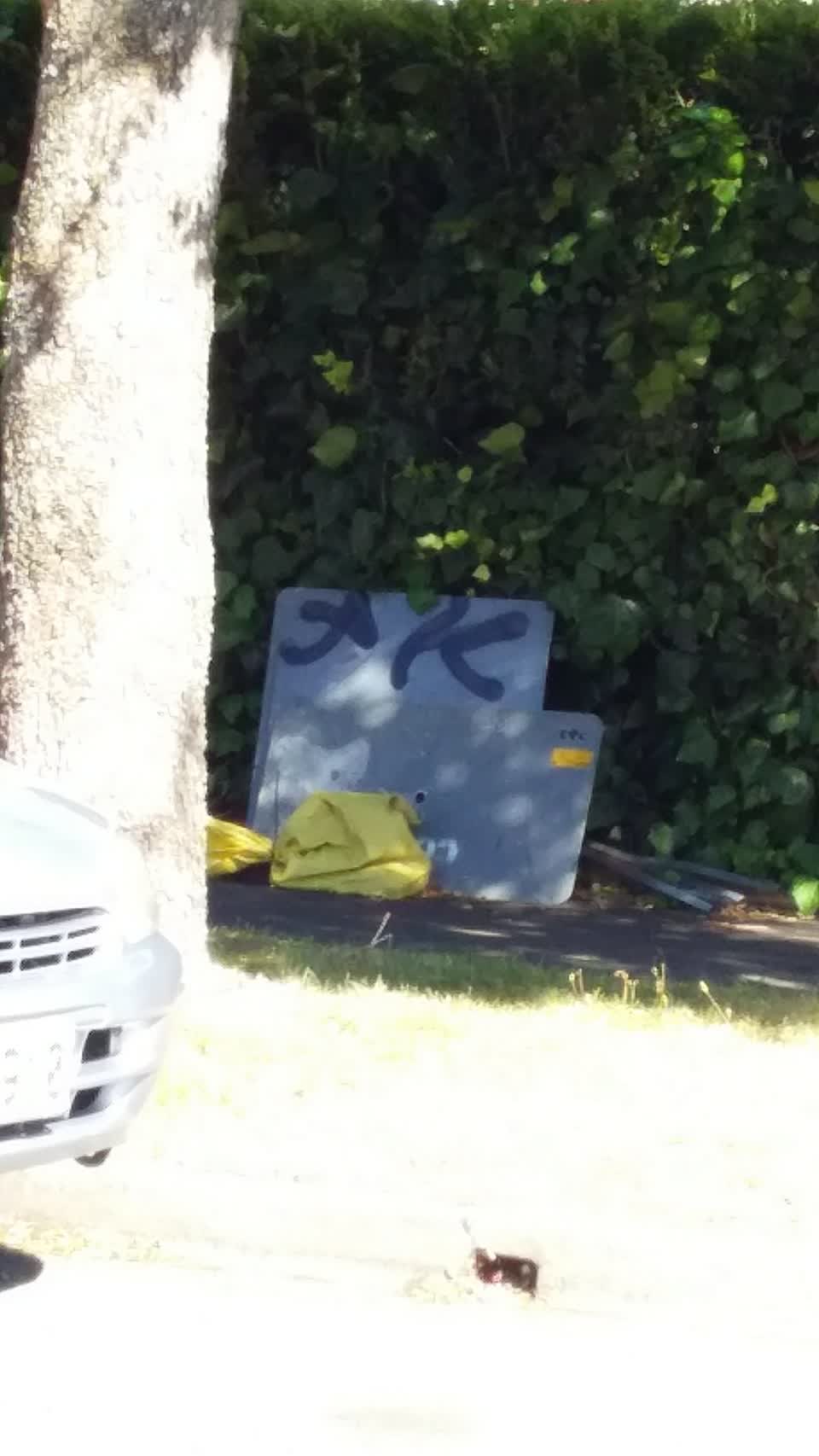 The photograph attached to this rubbish/recycling report