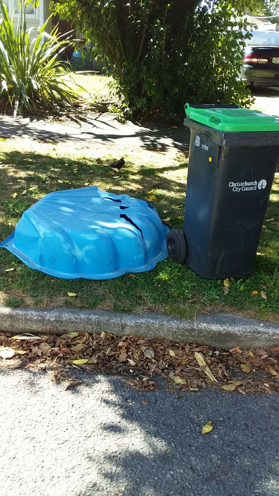 The photograph attached to this rubbish/recycling report
