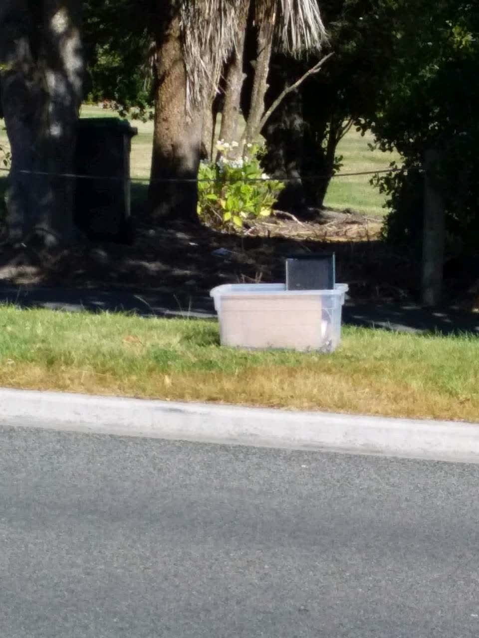 The photograph attached to this rubbish/recycling report