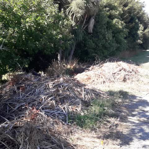 Parks, a report photo
