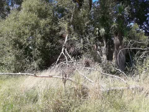 Parks, a report photo