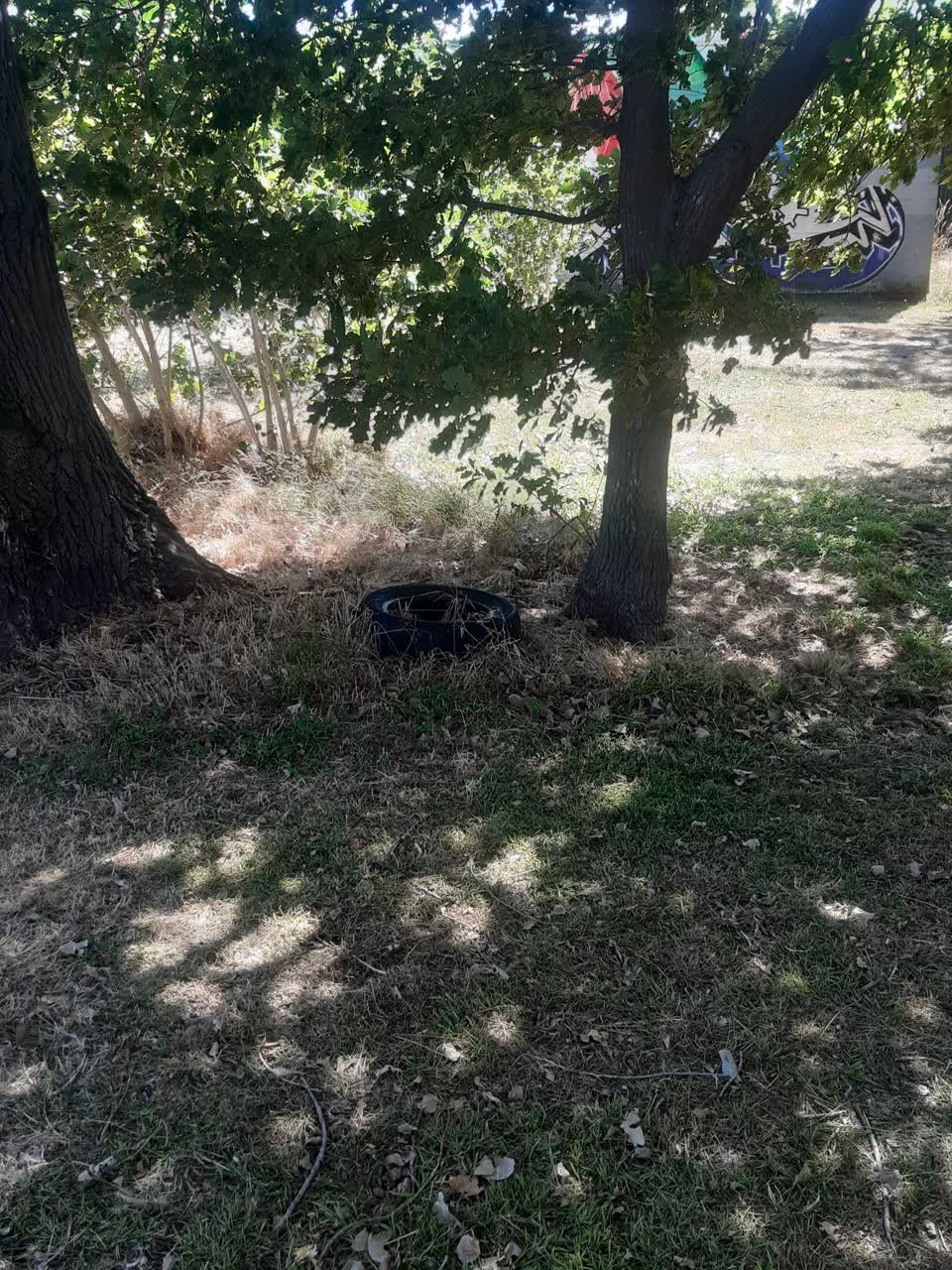 The photograph attached to this parks report