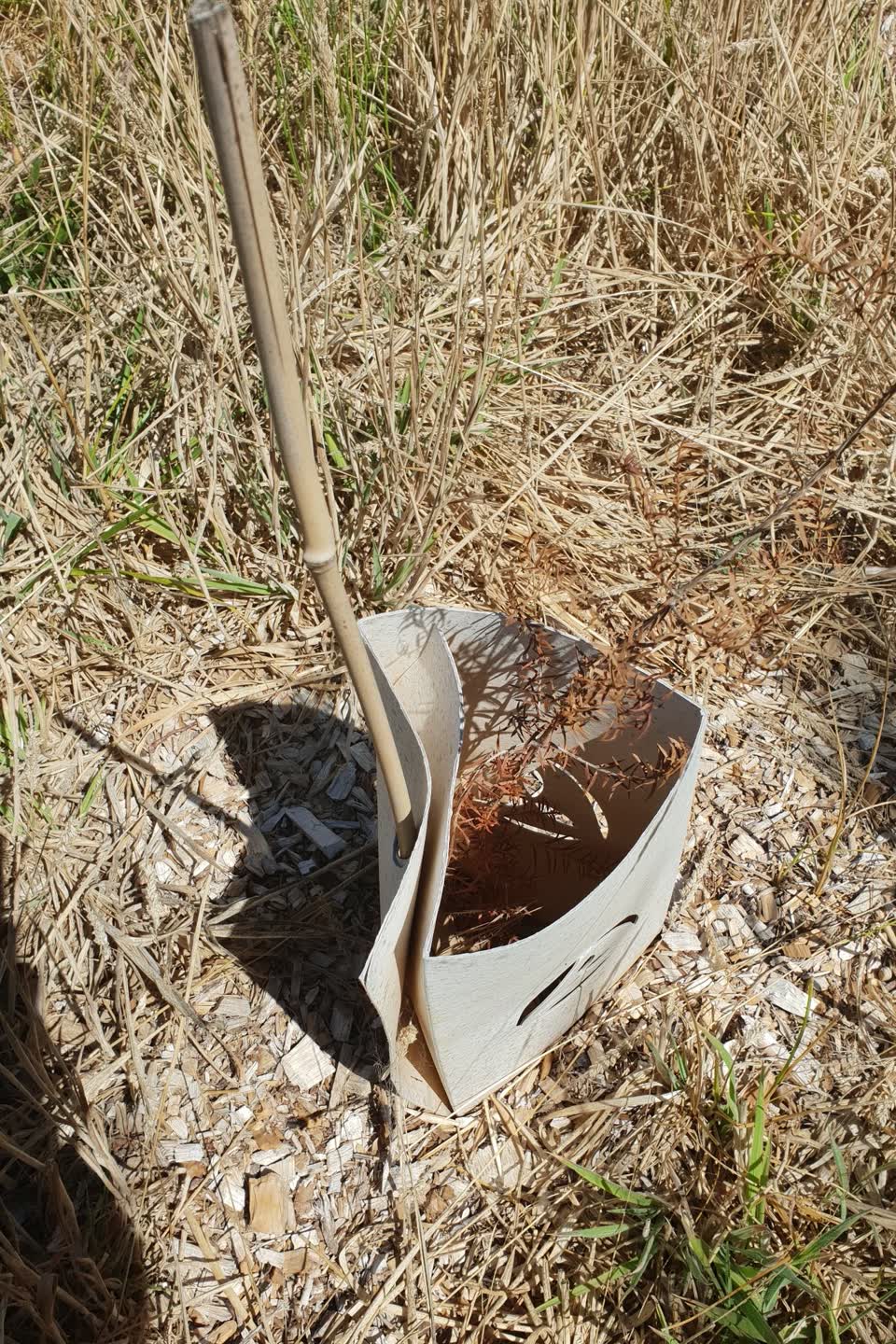The photograph attached to this parks report