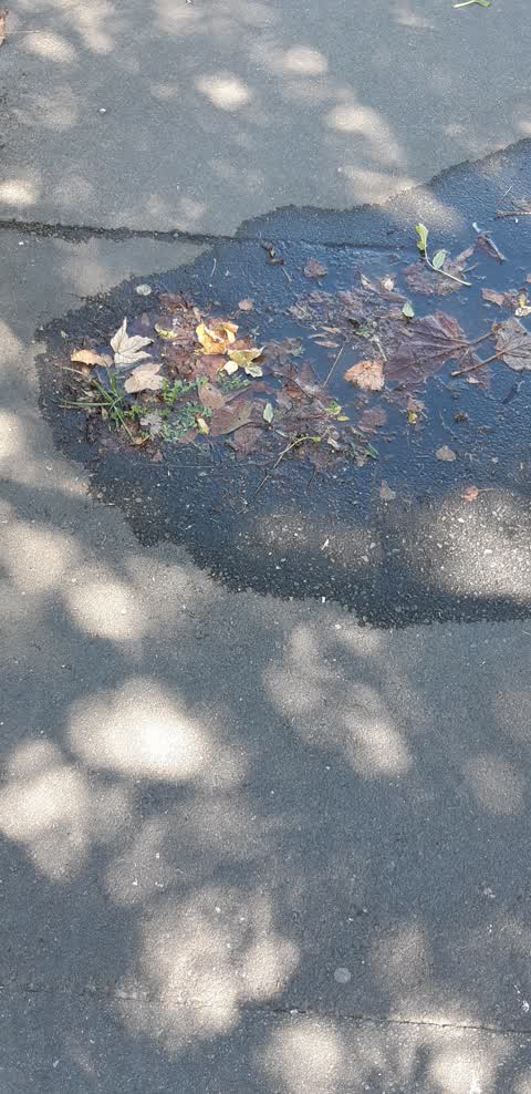 Water Supply, a report photo
