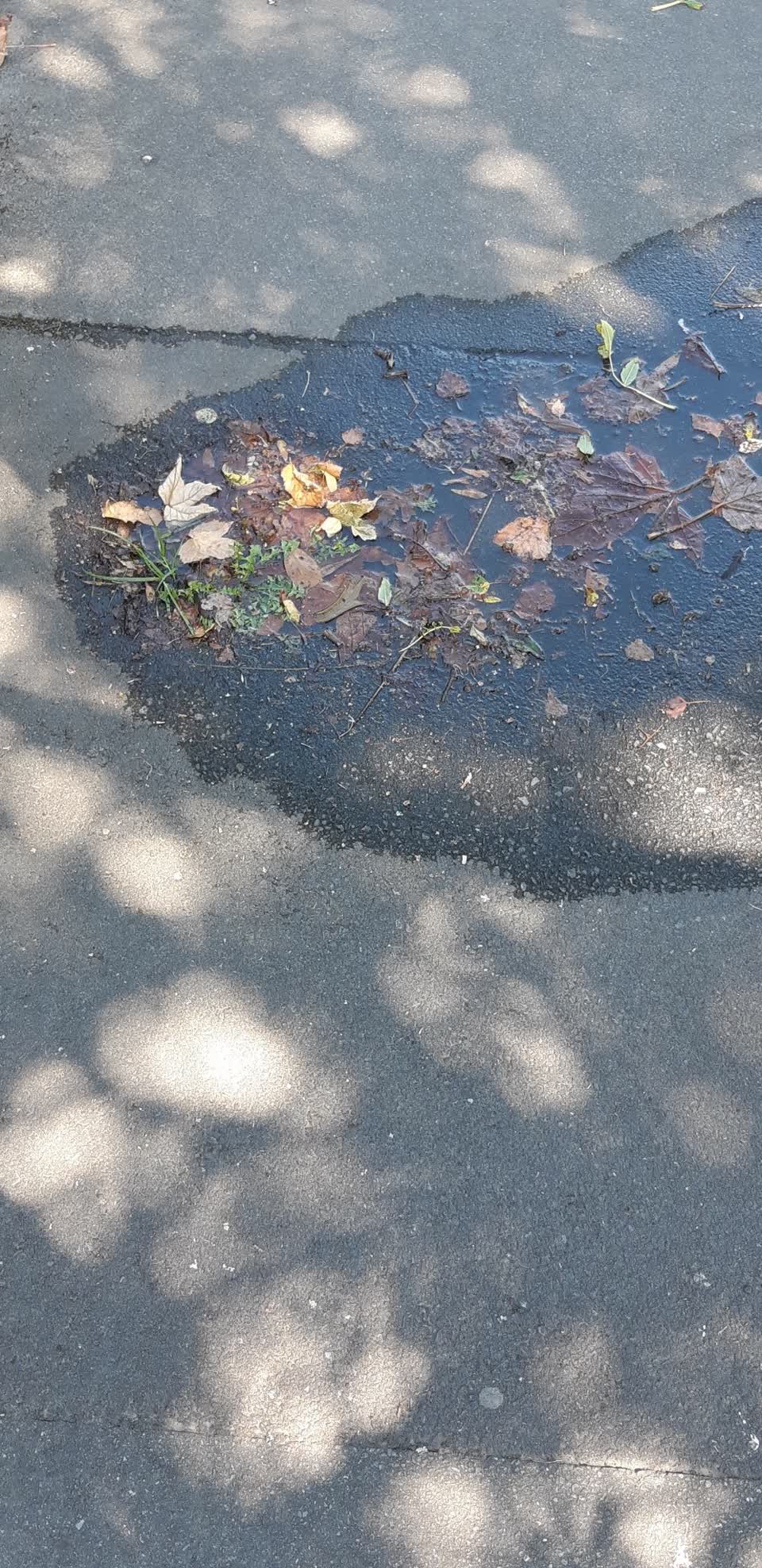 The photograph attached to this water supply report