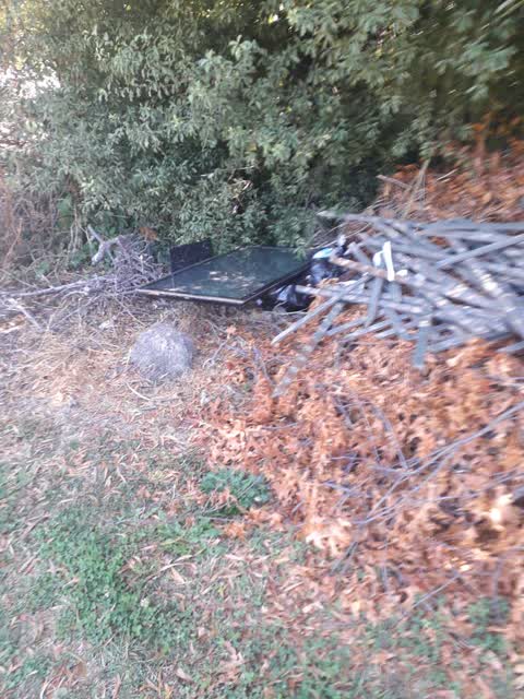 Rubbish/Recycling — a report photo