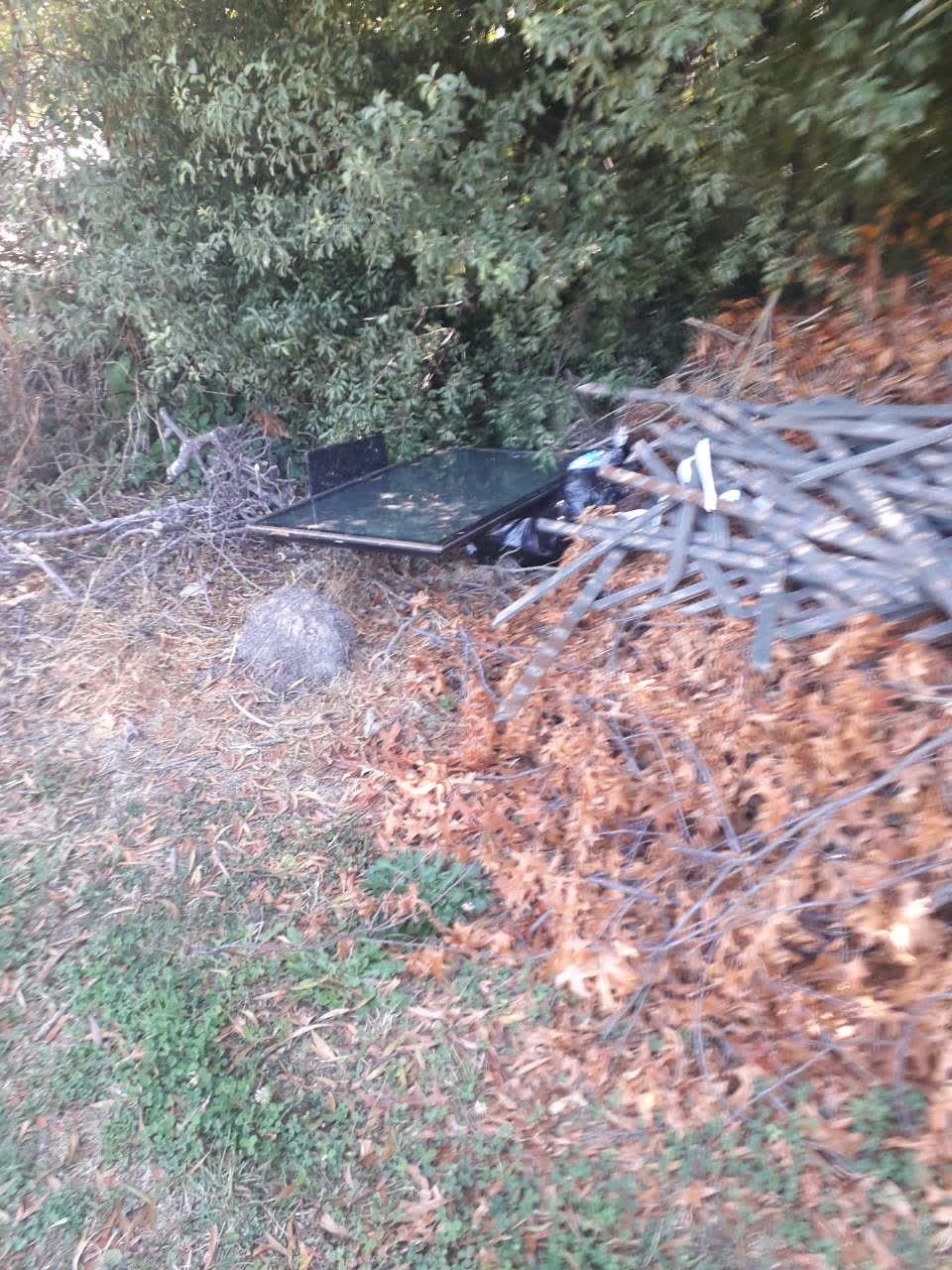 The photograph attached to this rubbish/recycling report