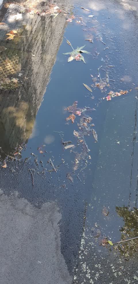 Water Supply, a report photo