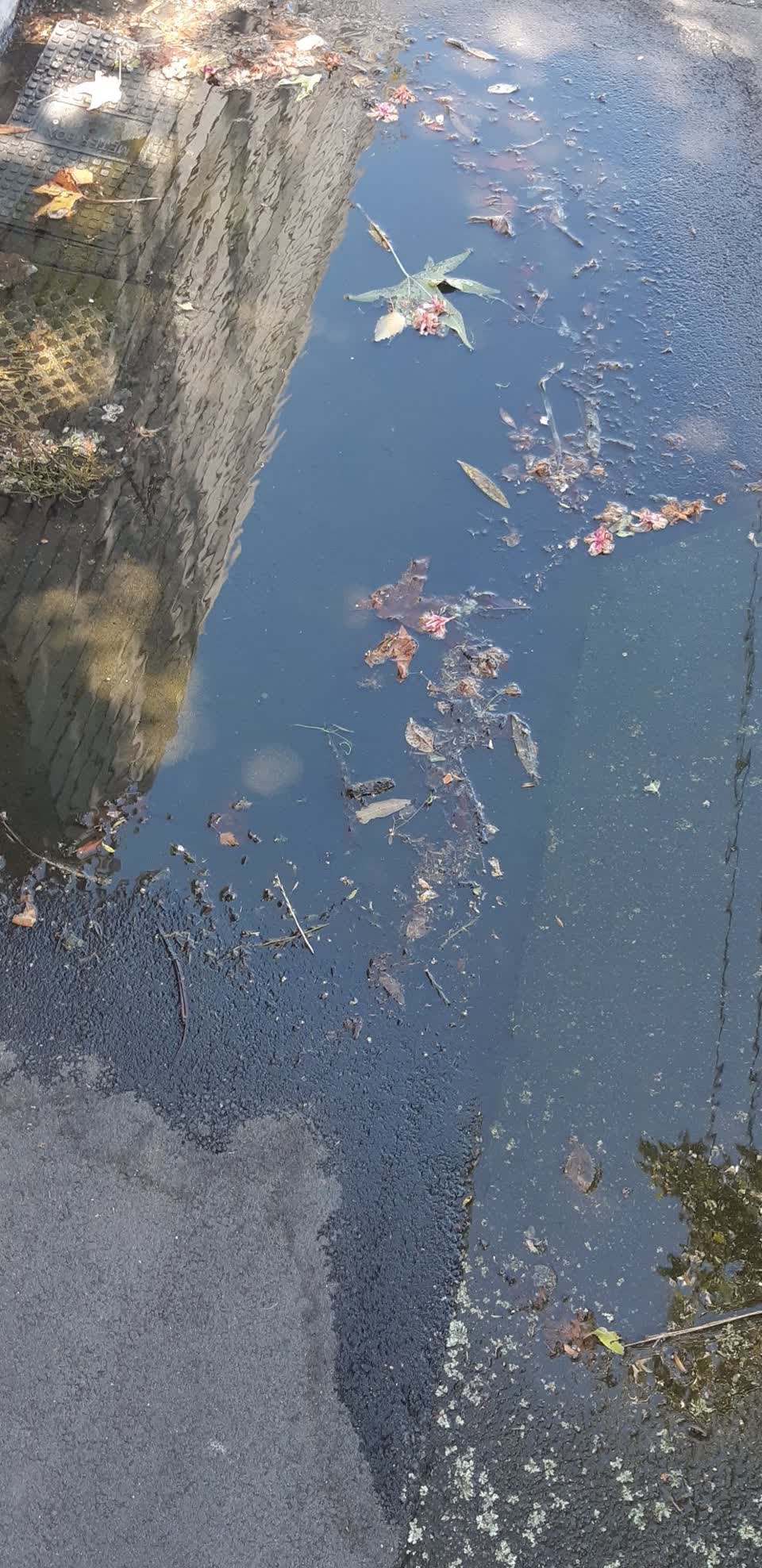 The photograph attached to this water supply report
