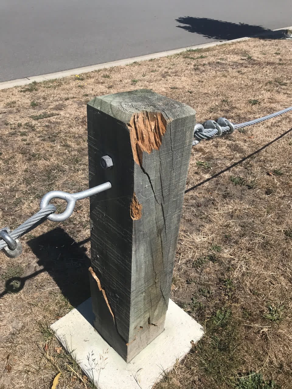 The photograph attached to this parks report