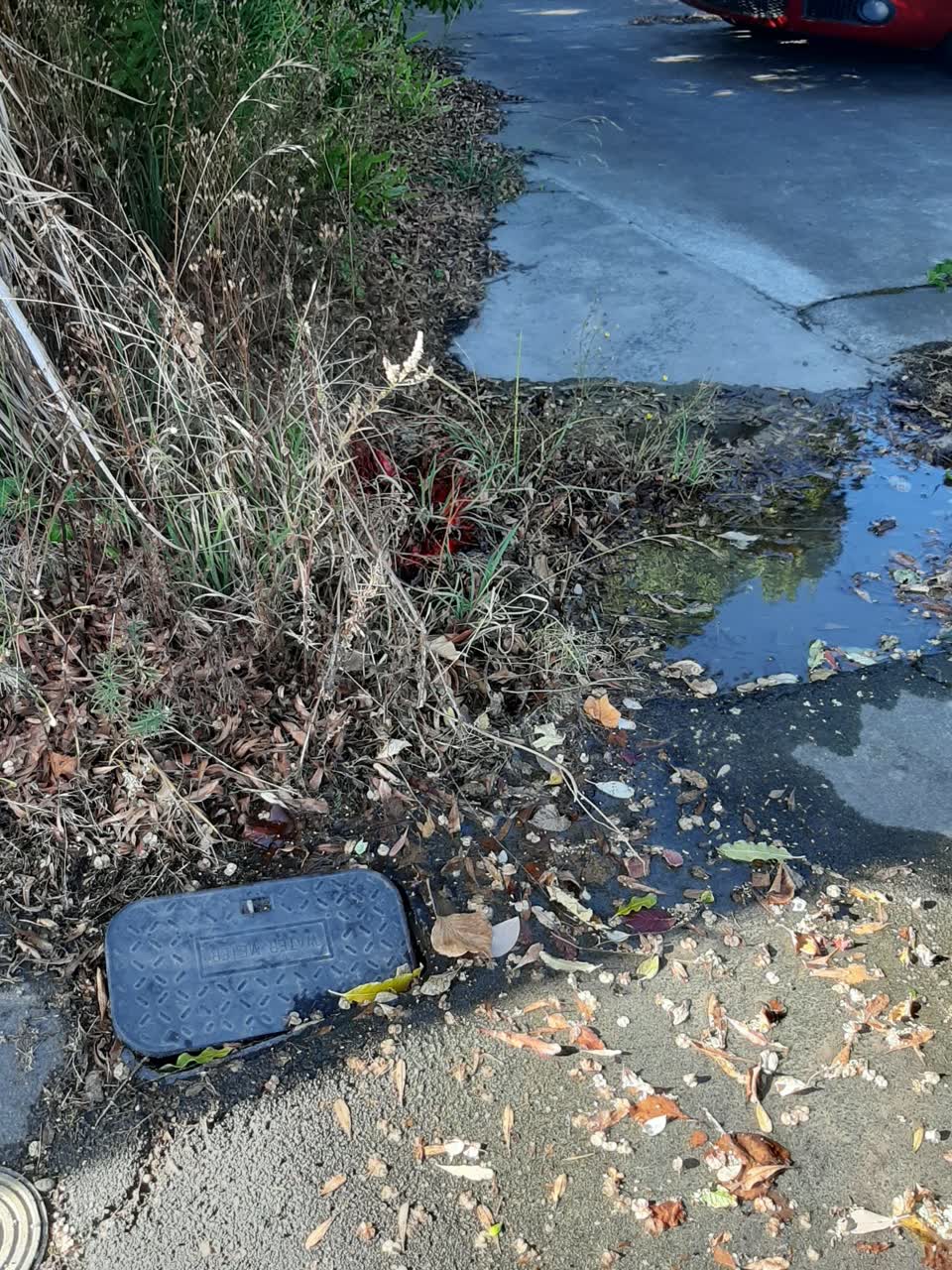 The photograph attached to this water supply report