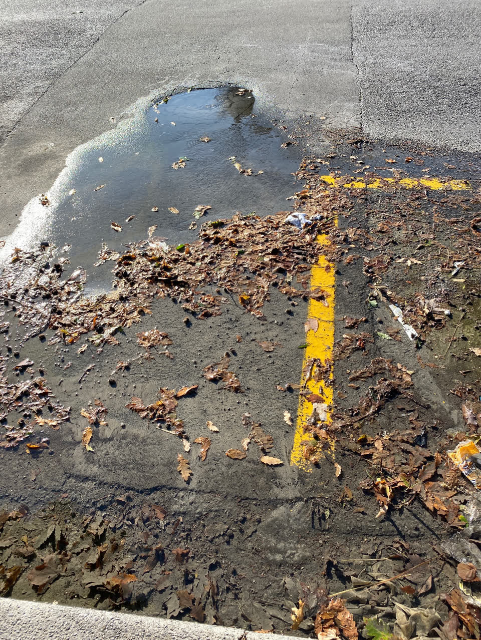 The photograph attached to this water supply report