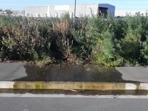 Water Supply, a report photo