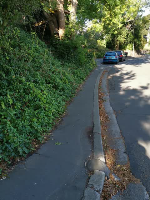 Roading/Streets, a report photo