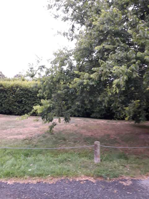 Parks, a report photo