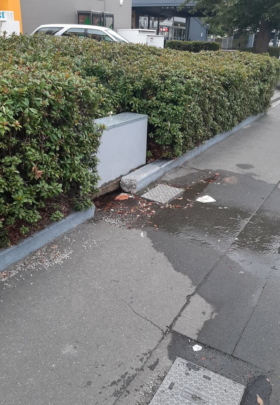 The photograph attached to this water supply report