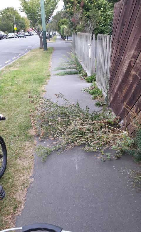 Roading/Streets, a report photo
