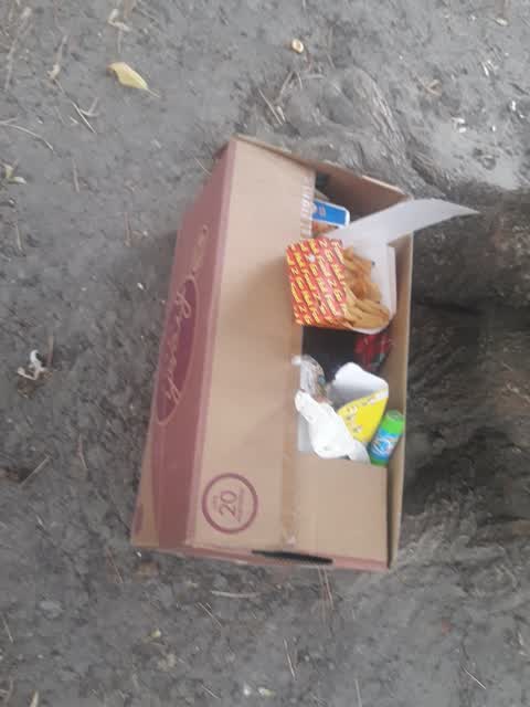 Rubbish/Recycling, a report photo