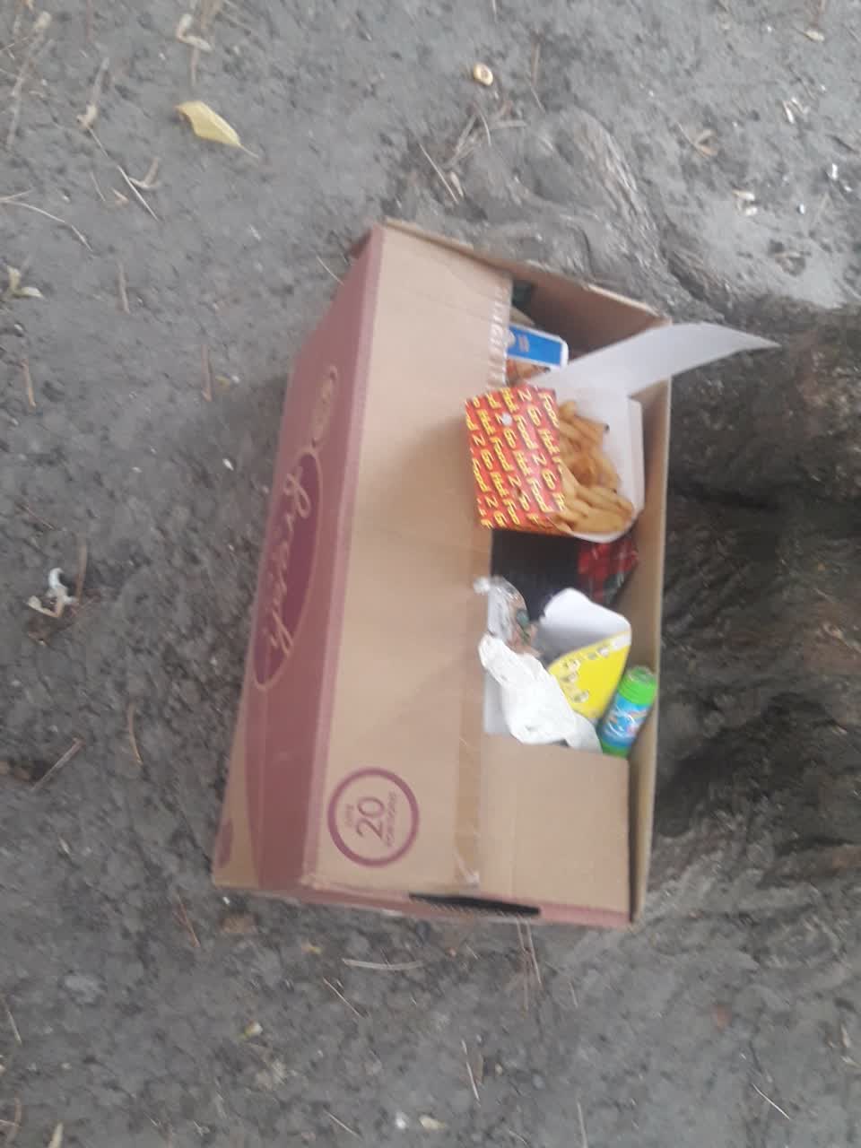 The photograph attached to this rubbish/recycling report