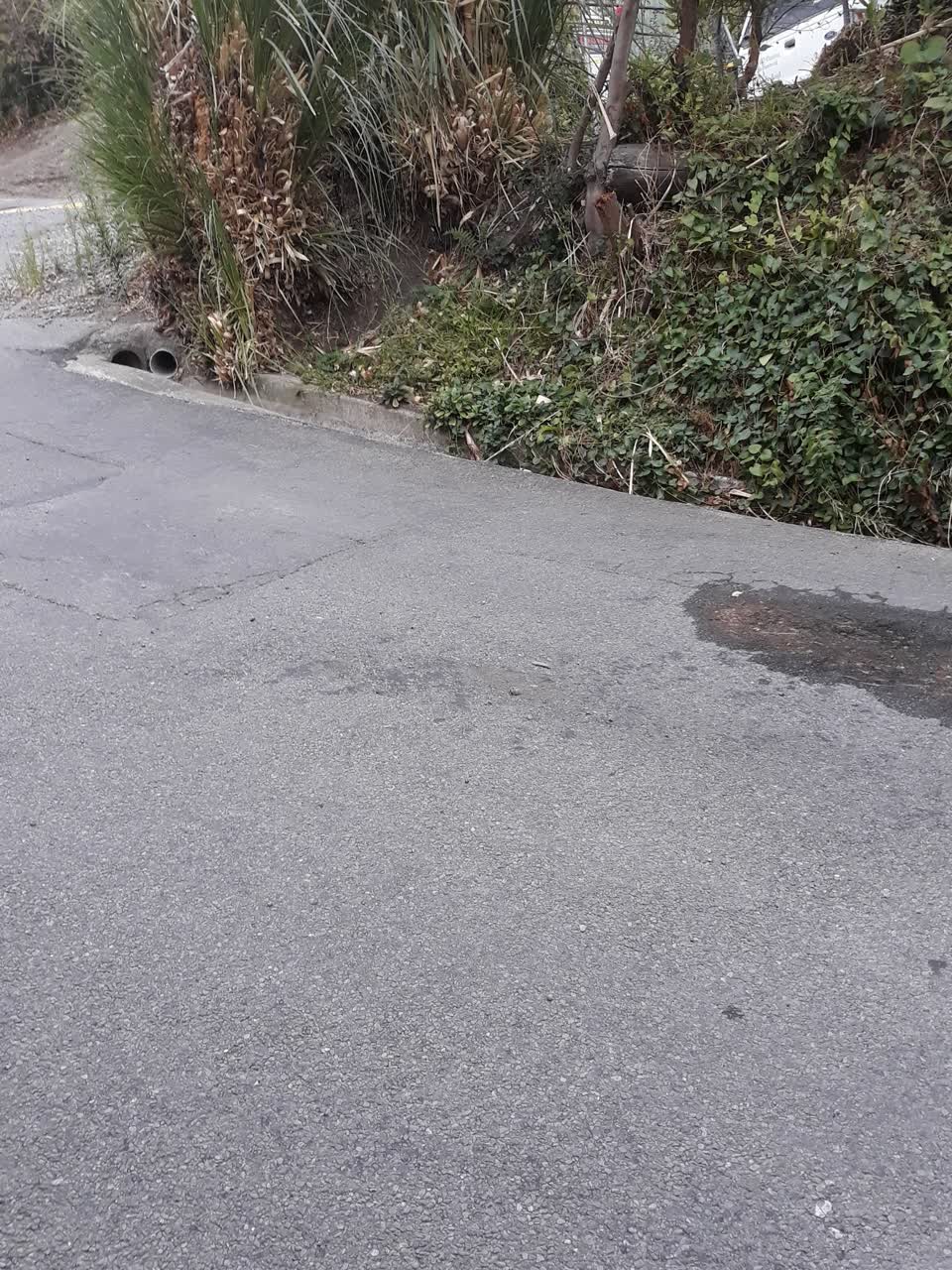 The photograph attached to this water supply report