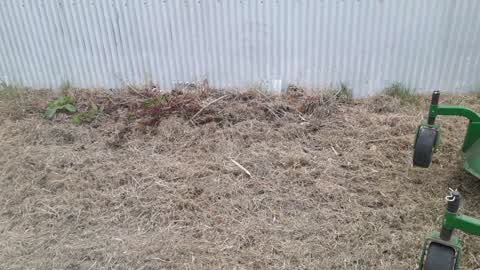 Parks, a report photo