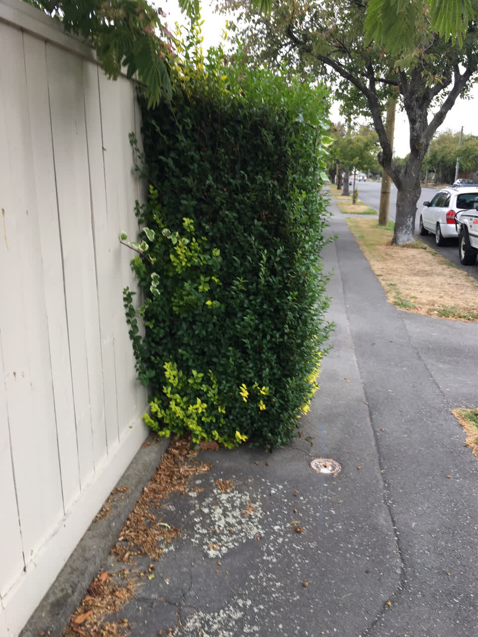 The photograph attached to this parks report