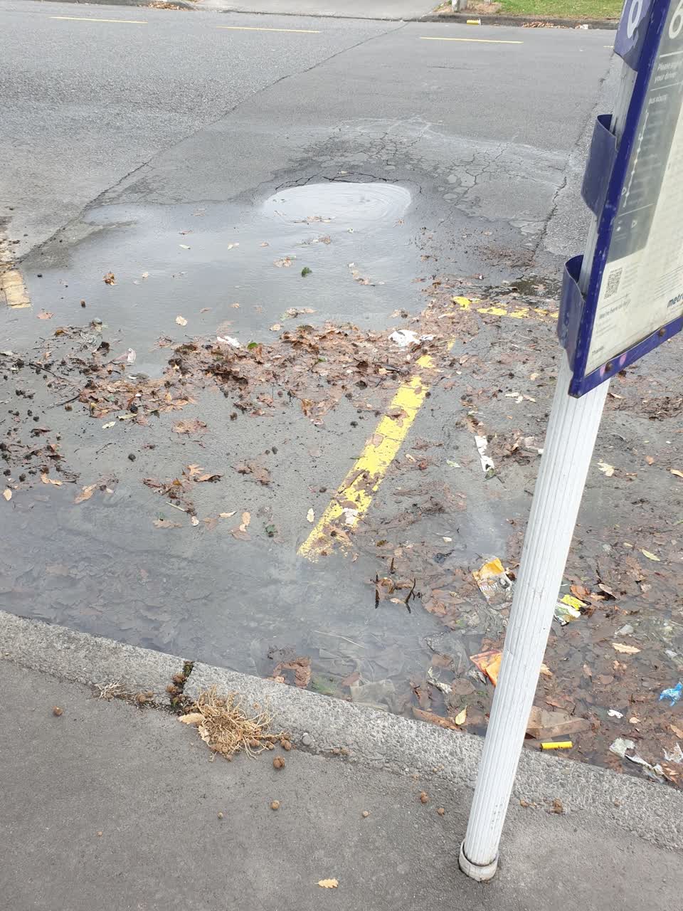 The photograph attached to this water supply report