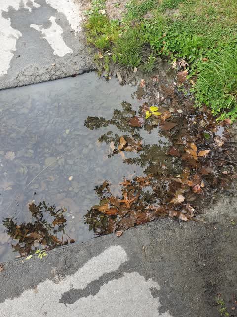Water Supply, a report photo