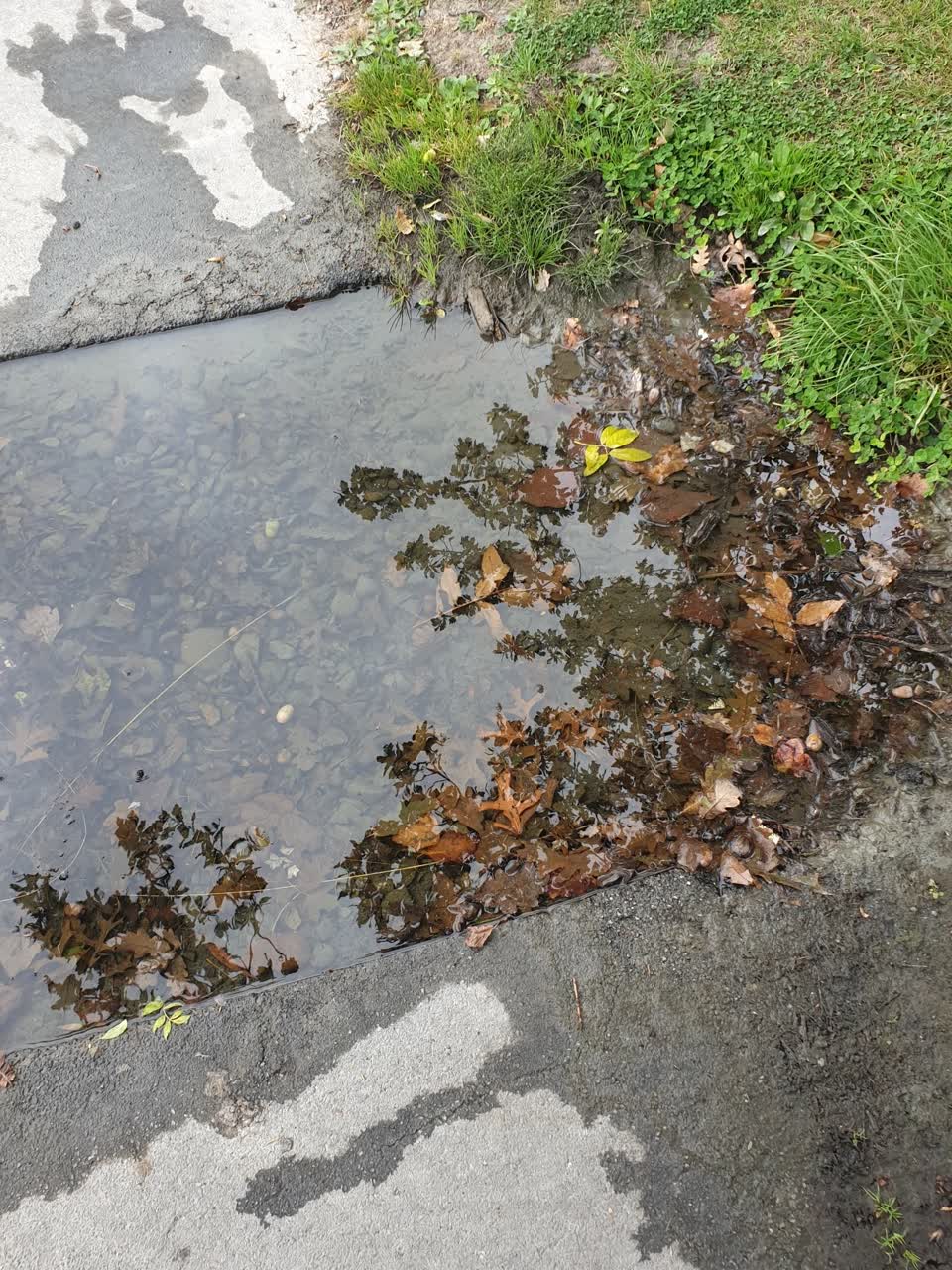 The photograph attached to this water supply report