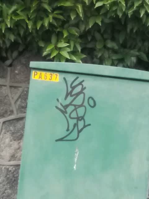 Graffiti, a report photo