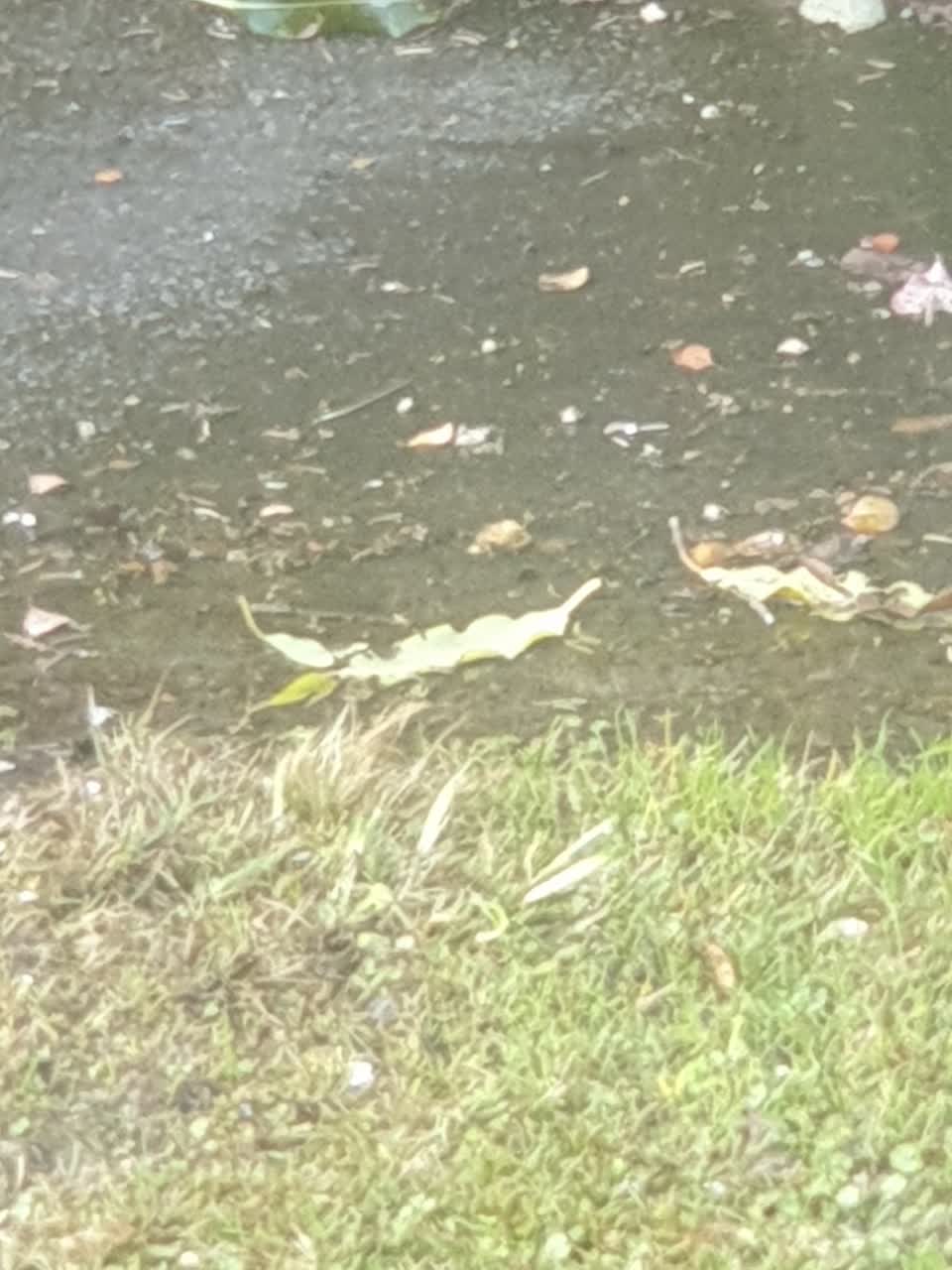 The photograph attached to this water supply report