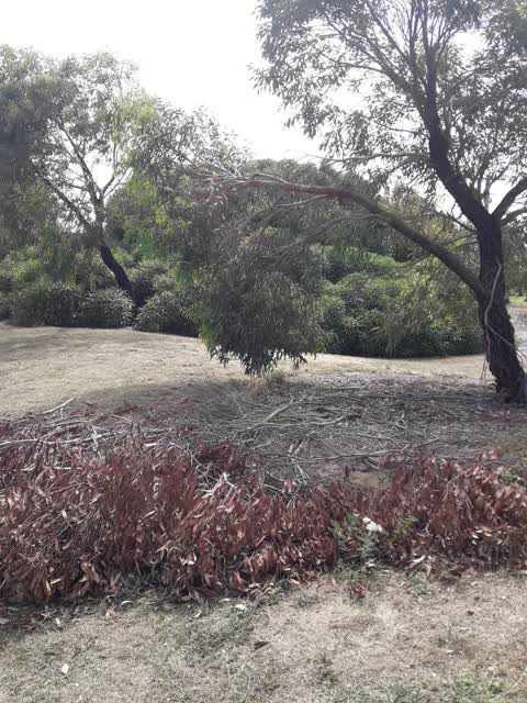 Parks, a report photo