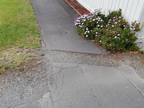 Roading/Streets, a report photo