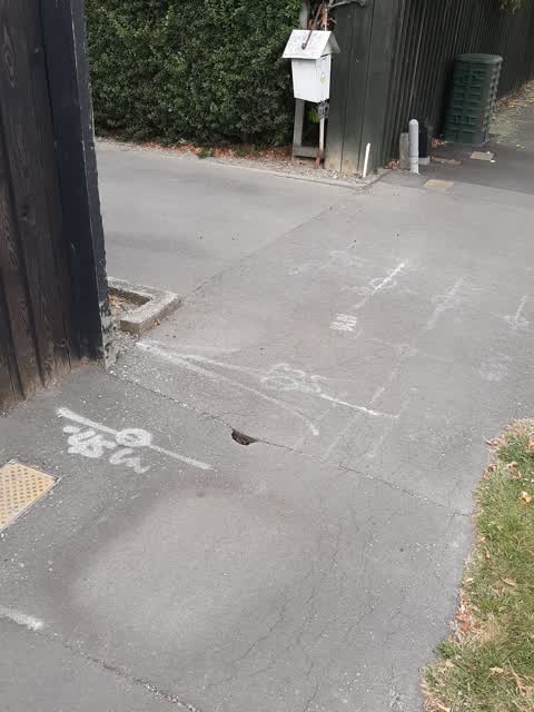 Roading/Streets, a report photo
